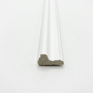 Plante -01